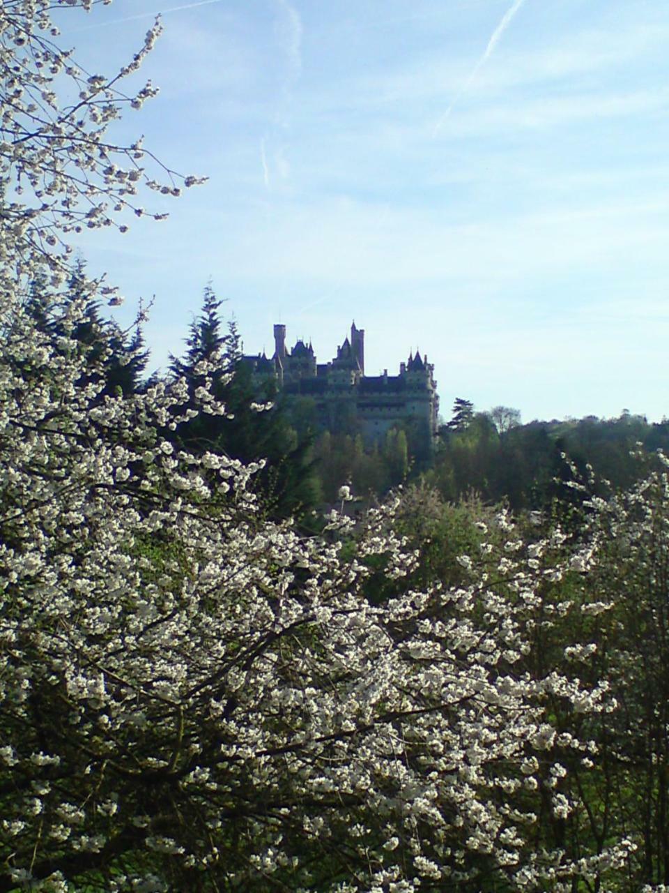 Aux Bles D'Or Hotel Pierrefonds Værelse billede